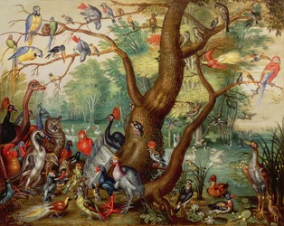 Vogelkonzert